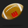 nfl-sports-mydocuments_128.png