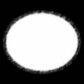 dmsk0056.jpg