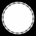dmsk0319.jpg