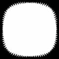 dmsk0376.jpg