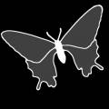 dmsk0497.jpg