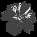 dmsk0499.jpg
