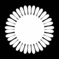dmsk0620.jpg