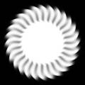 dmsk0876.jpg