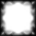 ms-256.jpg