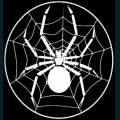 spider8.jpg