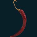 chili2.png