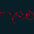 ribbon.png