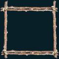 twigframe.png
