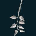 Leaves2.png