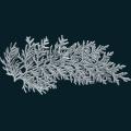 Twig1.png
