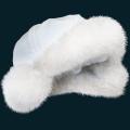 furhat.png