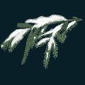 pinebranch.png