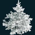 tree2.png