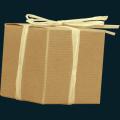 present3.png
