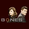 Bones-e4.png