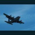 av-095.jpg