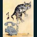 cats-dogs-07.jpg