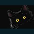 cats-dogs-18.jpg