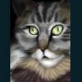 cats-dogs-30.jpg