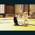 cats-dogs-71.jpg