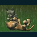 cats-dogs-77.jpg