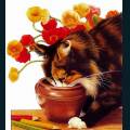 cats-dogs-81.jpg