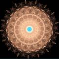 Fractal-39.jpg