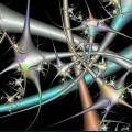 Fractal-48.jpg