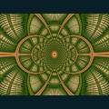 fractal--78.jpg