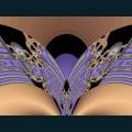 fractal--84.jpg