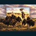 native-13.jpg