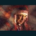 native-16.jpg