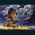 native-20.jpg