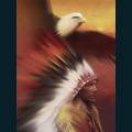 native-38.jpg