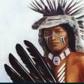 native-40.jpg