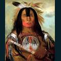 native-42.jpg