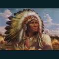 native-44.jpg