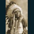 native-56.jpg