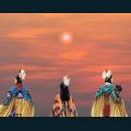 native-58.jpg