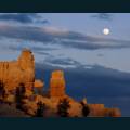 native-59.jpg