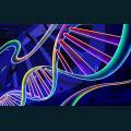 neon-art-12.jpg