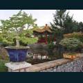 Oriental-132.jpg