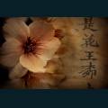 Oriental-69.jpg