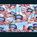 patriotic109.jpg