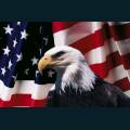 patriotic13.jpg