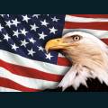 patriotic138.jpg