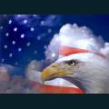 patriotic172.jpg