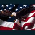 patriotic210.jpg