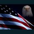 patriotic215.jpg
